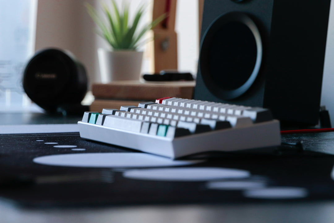 Mechanical Keyboards 101: Everything You Need to Know Before Buying Your First Board